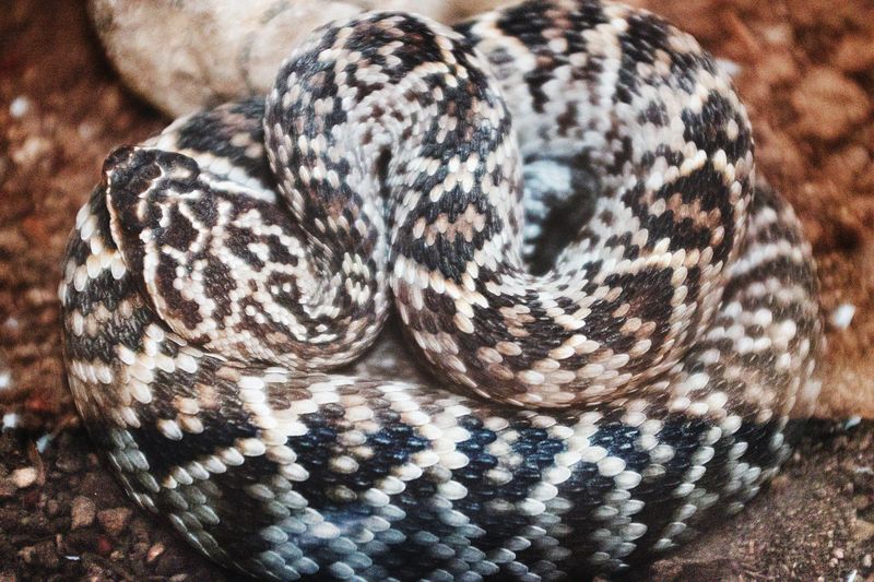 Image from a project on PhMuseum