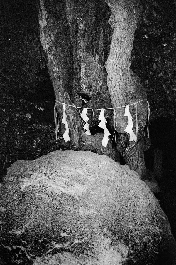 Image from a project on PhMuseum