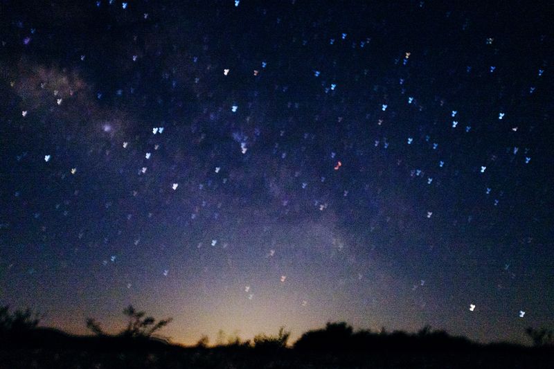 Image from a project on PhMuseum