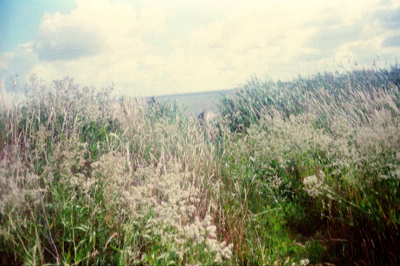 © Sara Aue Sobol - Image from the The Dancing Forest photography project