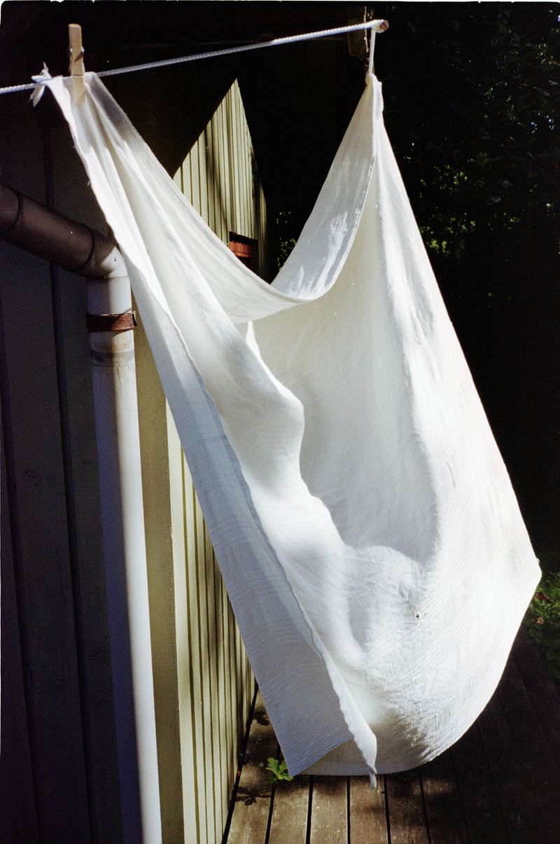 © Sara Aue Sobol - Image from the The Dancing Forest photography project