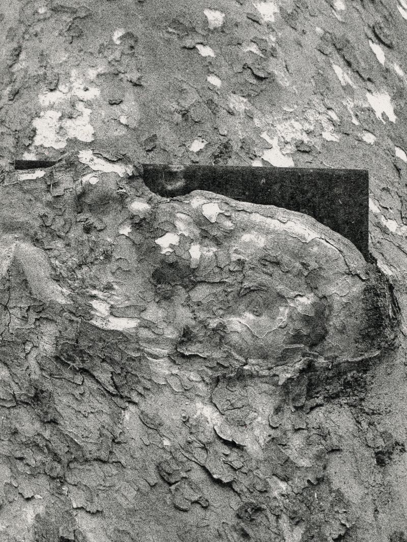 © Áron Tóth-Heyn - Image from the De Rerum Natura photography project