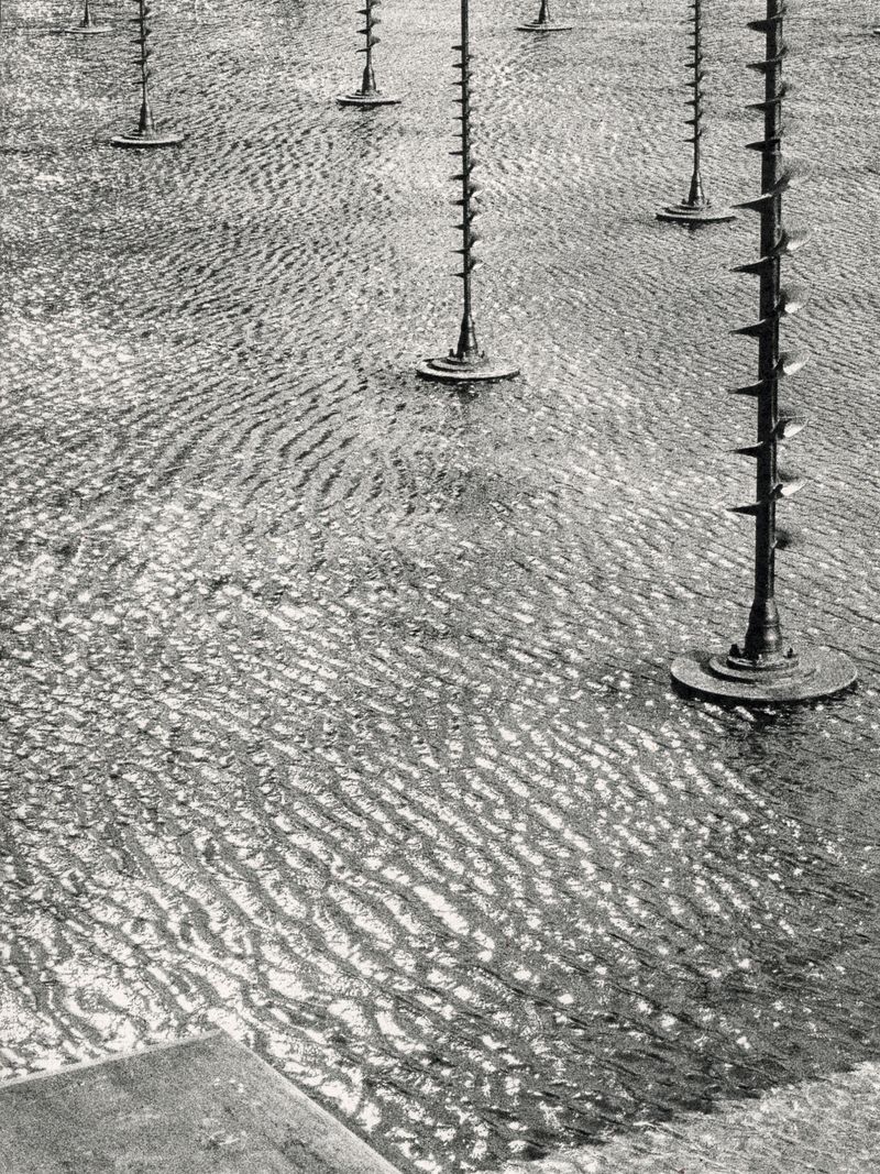 © Áron Tóth-Heyn - Image from the De Rerum Natura photography project