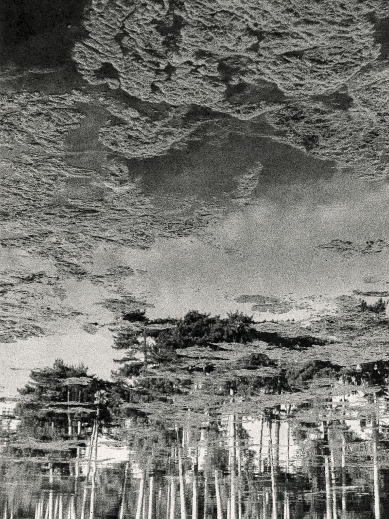 © Áron Tóth-Heyn - Image from the De Rerum Natura photography project
