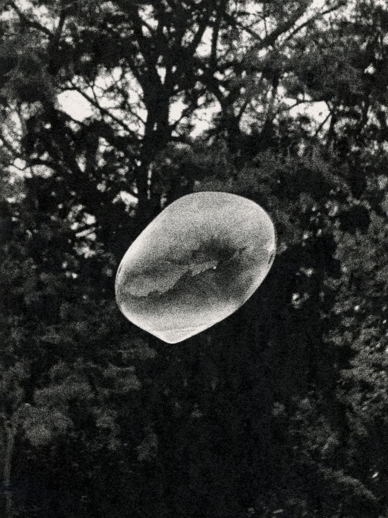 © Áron Tóth-Heyn - Image from the De Rerum Natura photography project