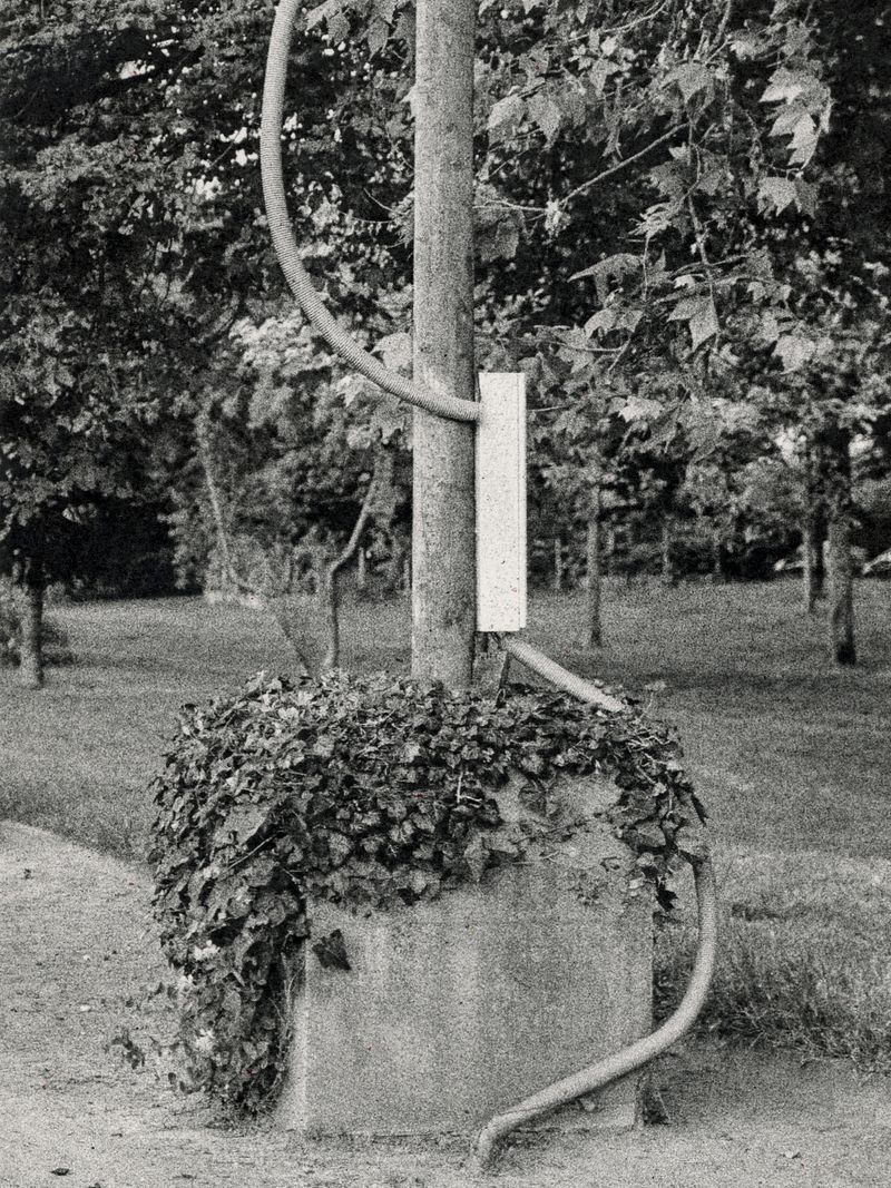 © Áron Tóth-Heyn - Image from the De Rerum Natura photography project