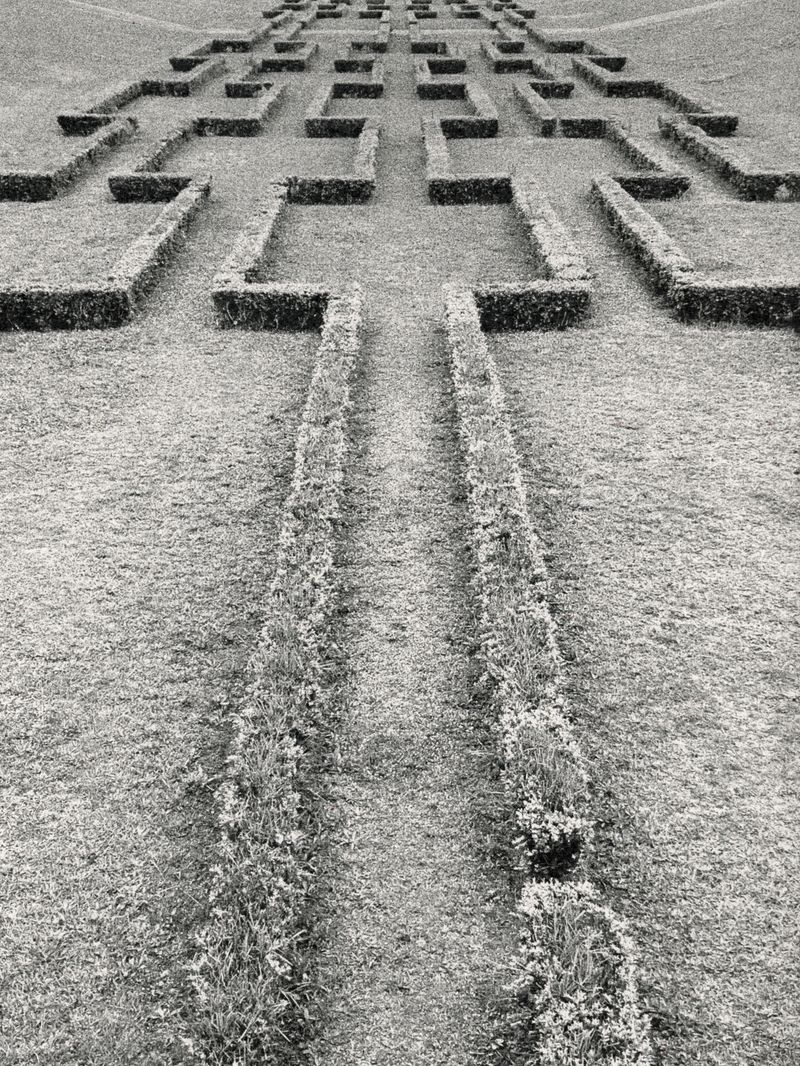 © Áron Tóth-Heyn - Image from the De Rerum Natura photography project