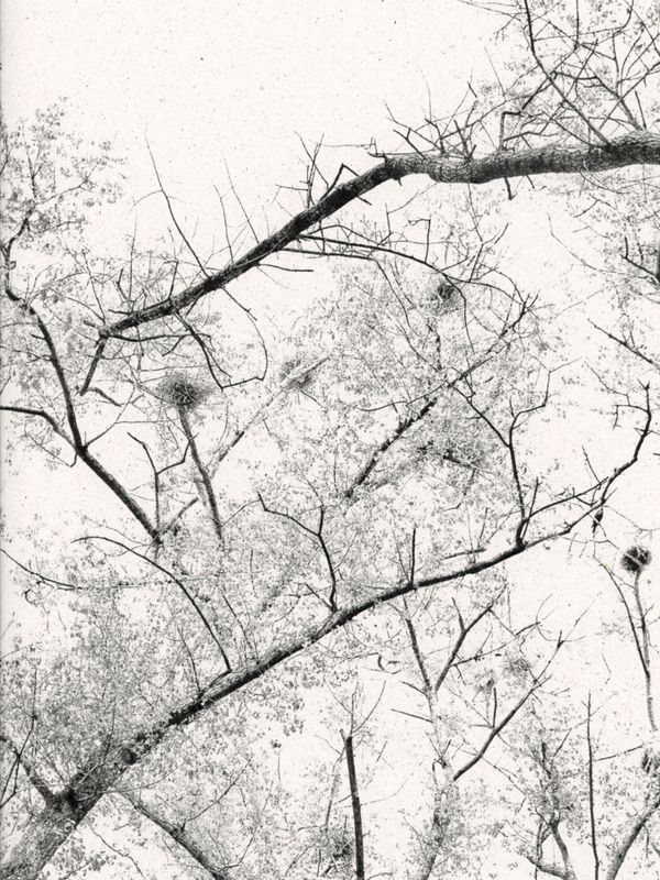 © Áron Tóth-Heyn - Image from the De Rerum Natura photography project