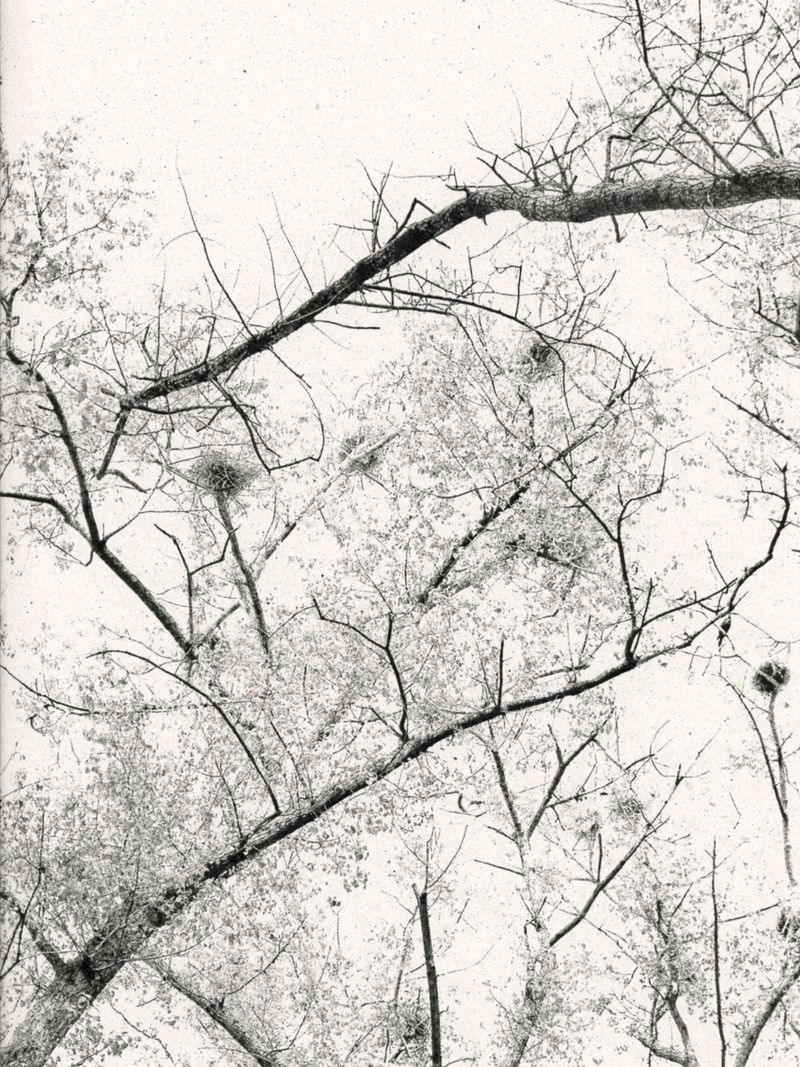© Áron Tóth-Heyn - Image from the De Rerum Natura photography project