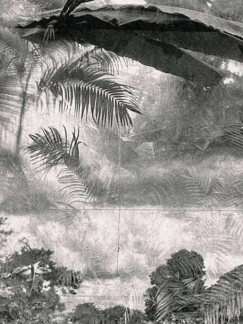 © Áron Tóth-Heyn - Image from the De Rerum Natura photography project