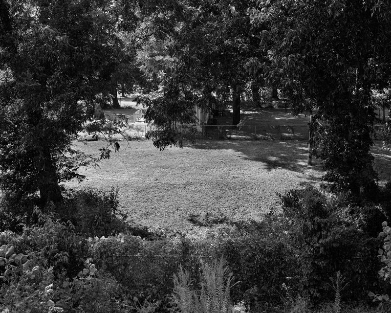 © Harlan Bozeman - Untitled