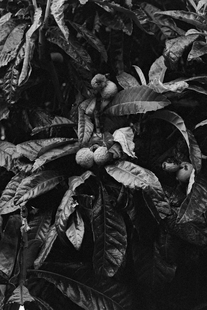 © Andrés E. Maloberti - Image from the Costumi Postumi photography project