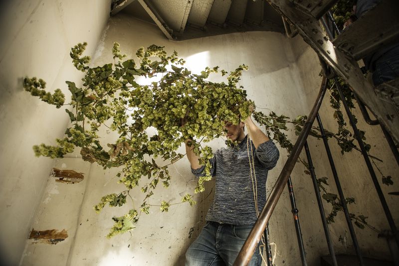 © Giovanni Del Brenna - Image from the Parisian Agriculture photography project