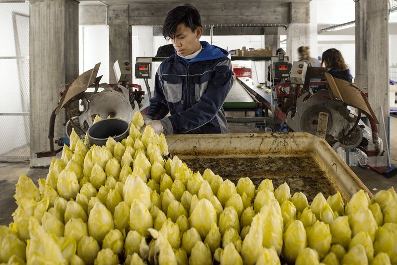 © Giovanni Del Brenna - Image from the Parisian Agriculture photography project