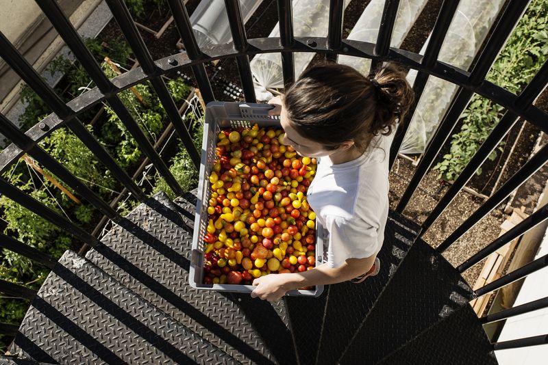 © Giovanni Del Brenna - Image from the Parisian Agriculture photography project