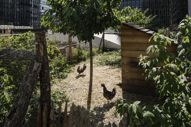 © Giovanni Del Brenna - Image from the Parisian Agriculture photography project