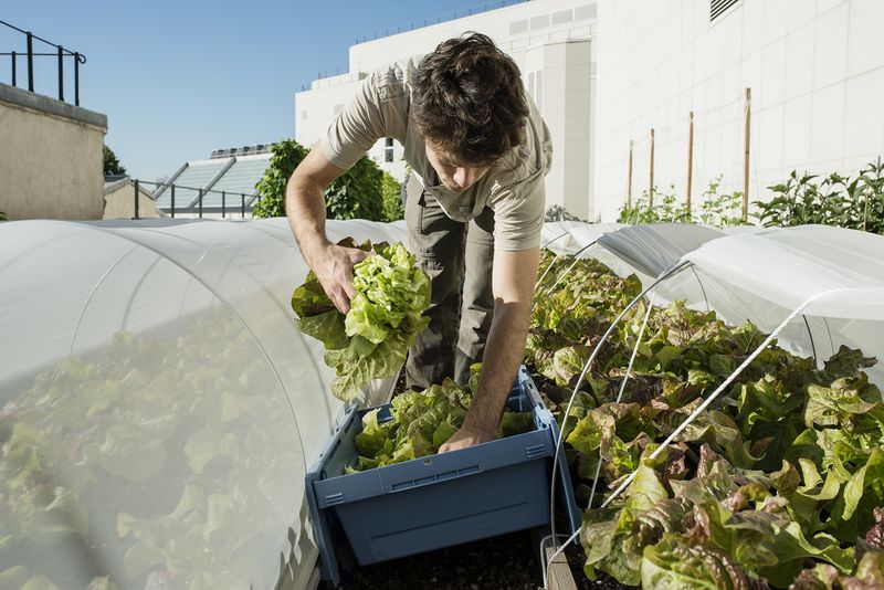 © Giovanni Del Brenna - Image from the Parisian Agriculture photography project