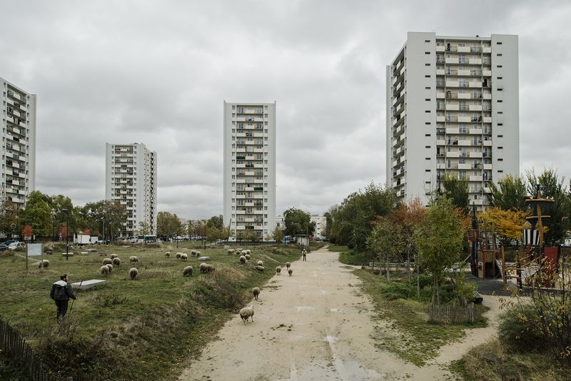 © Giovanni Del Brenna - Image from the Parisian Agriculture photography project