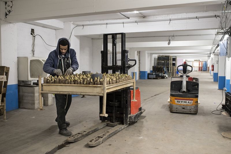 © Giovanni Del Brenna - Image from the Parisian Agriculture photography project
