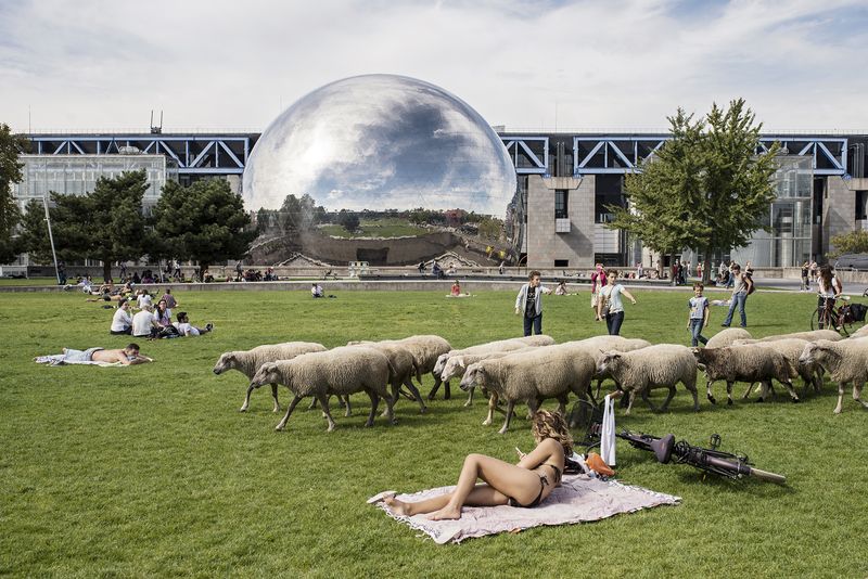 © Giovanni Del Brenna - Image from the Parisian Agriculture photography project