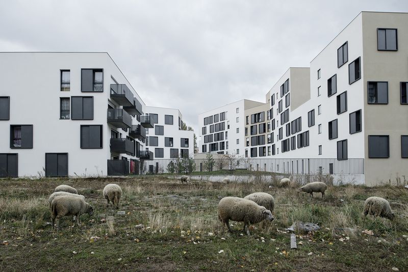 © Giovanni Del Brenna - Image from the Parisian Agriculture photography project