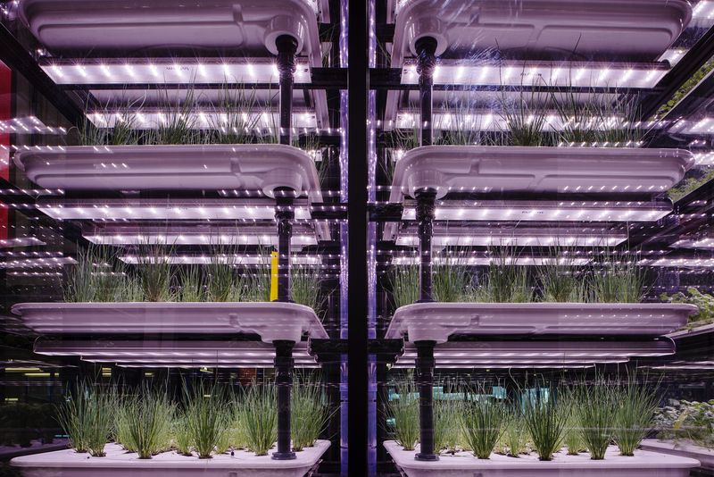 © Giovanni Del Brenna - Image from the Parisian Agriculture photography project