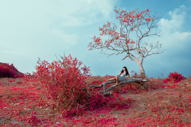 © Bienyl Huelgas - vivarium (the sacred tree)