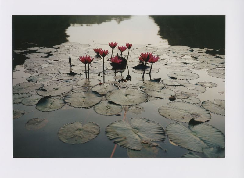 © Christophe Coënon - Image from the Jalaya photography project