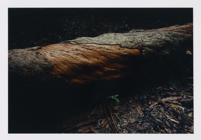© Christophe Coënon - Image from the Jalaya photography project