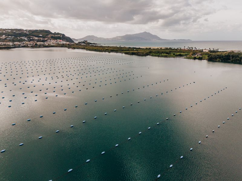 © Francesco Sammarco - Lago Fusaro, Bacoli