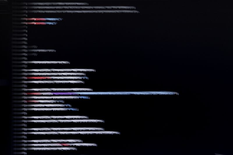 © Enka Springub - First version of the Bitcoin source code.