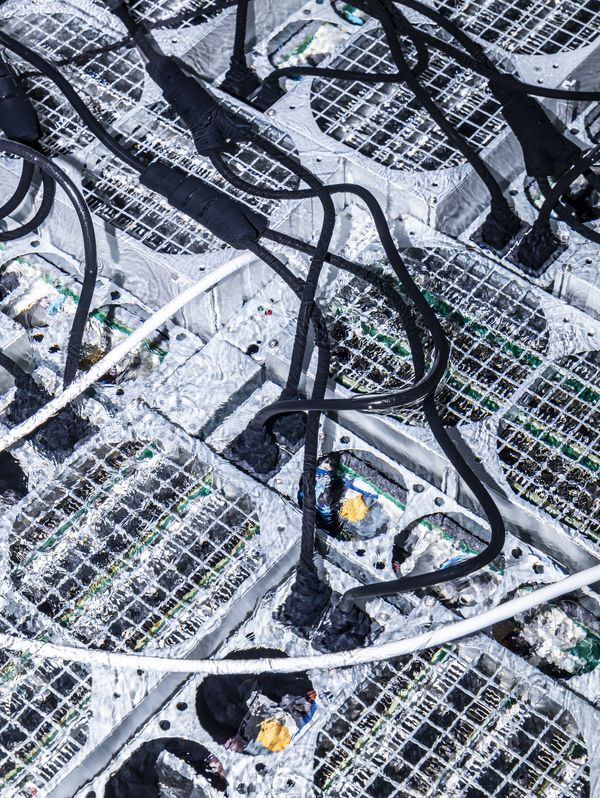 © Enka Springub - Mining computers in an oil bath. Through immersion cooling, the oil heats up and can be reused as district heating.