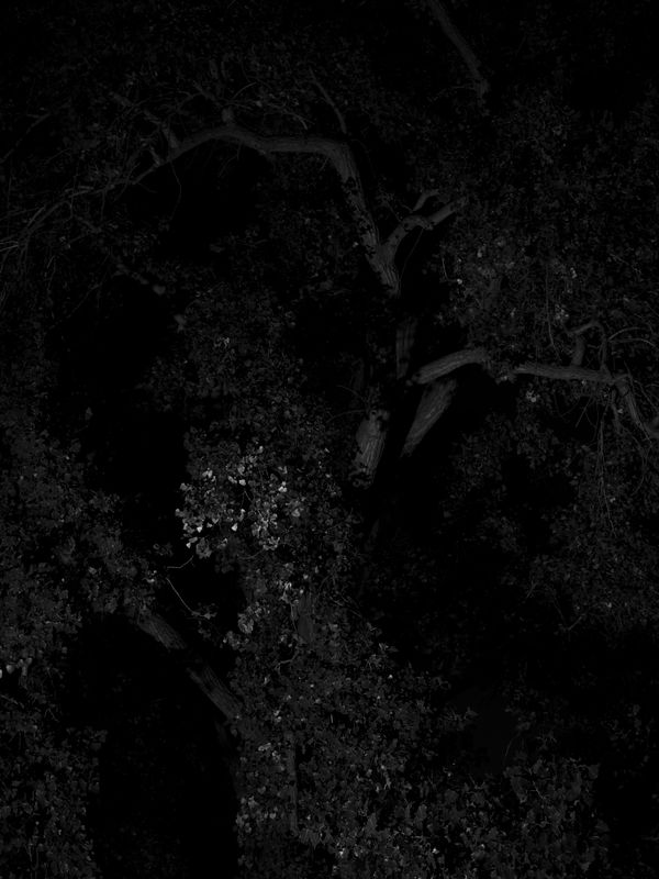 © Tanya Shah - Image from the glimmer photography project