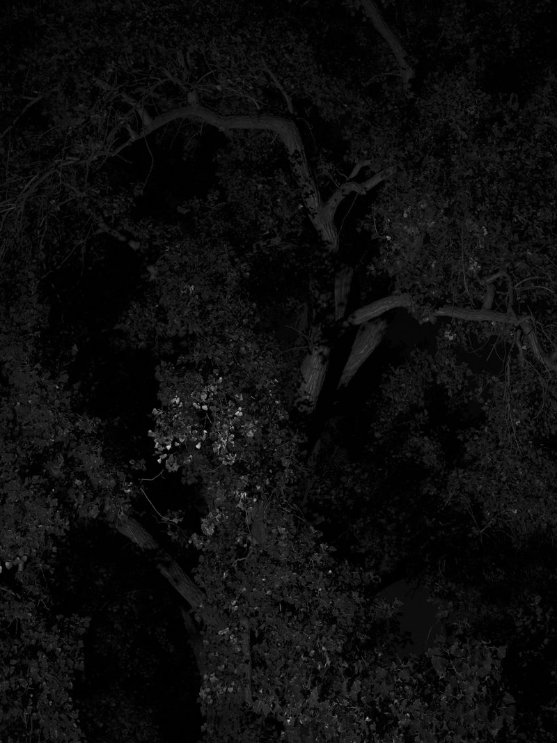 © Tanya Shah - Image from the glimmer photography project