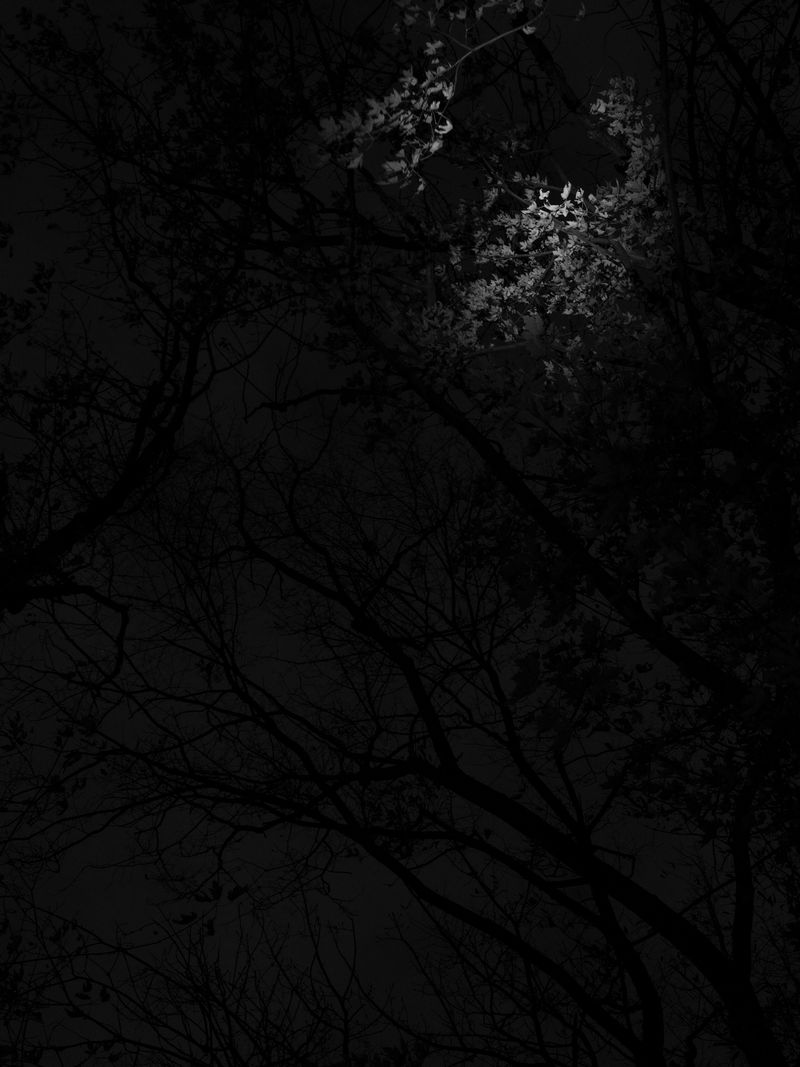 © Tanya Shah - Image from the glimmer photography project