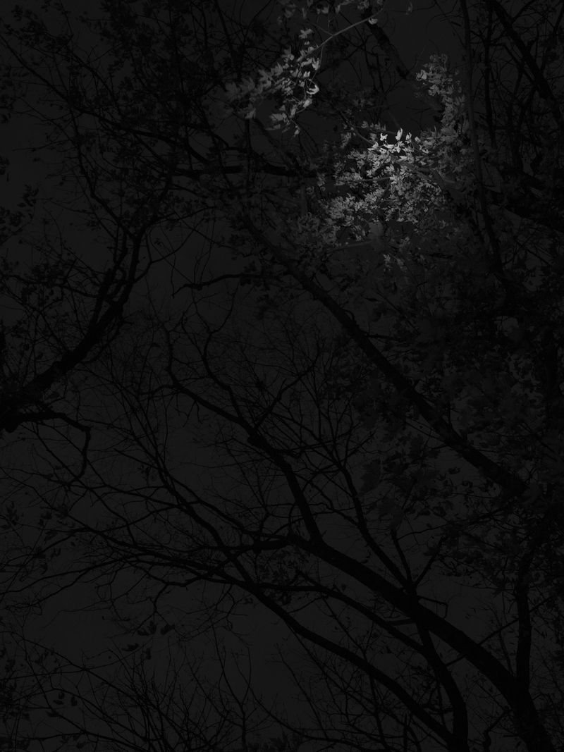 © Tanya Shah - Image from the glimmer photography project