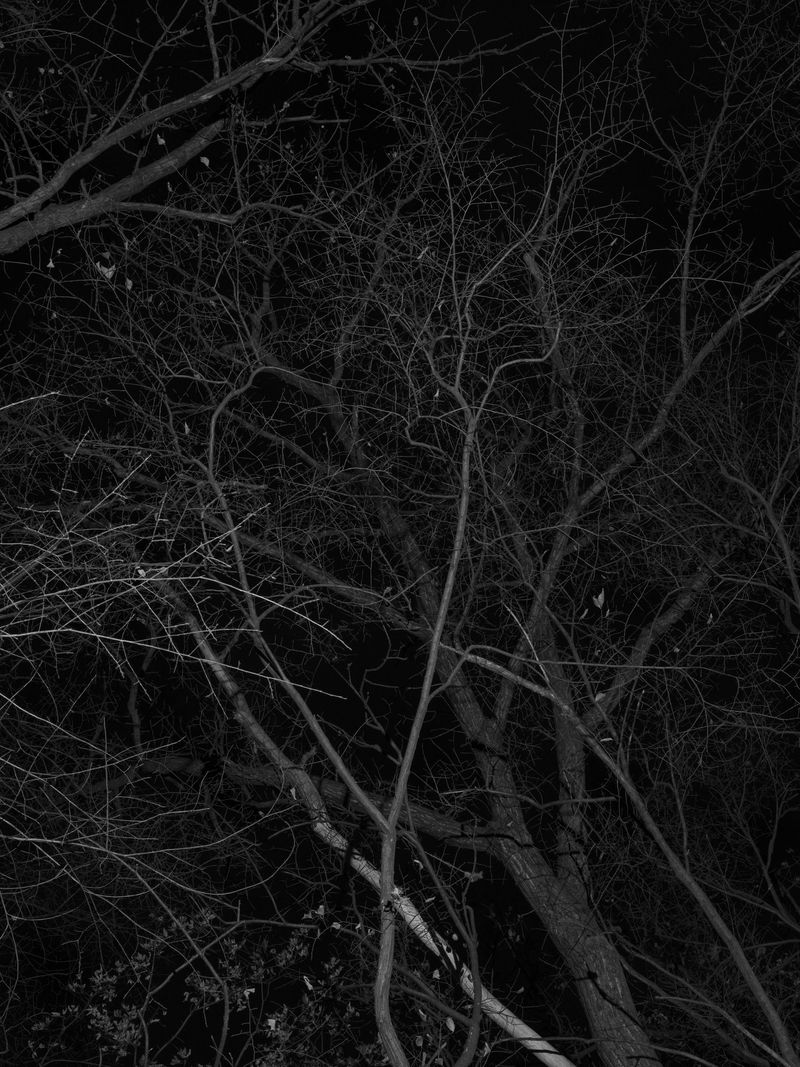 © Tanya Shah - Image from the glimmer photography project