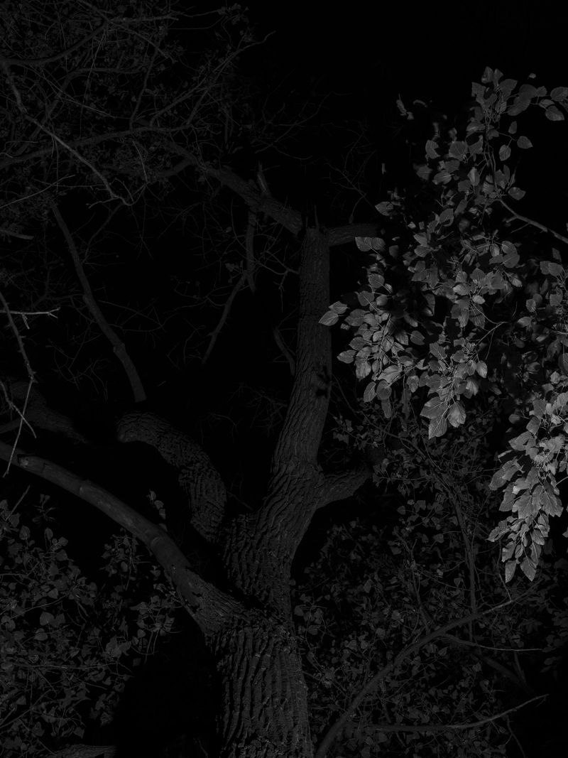 © Tanya Shah - Image from the glimmer photography project