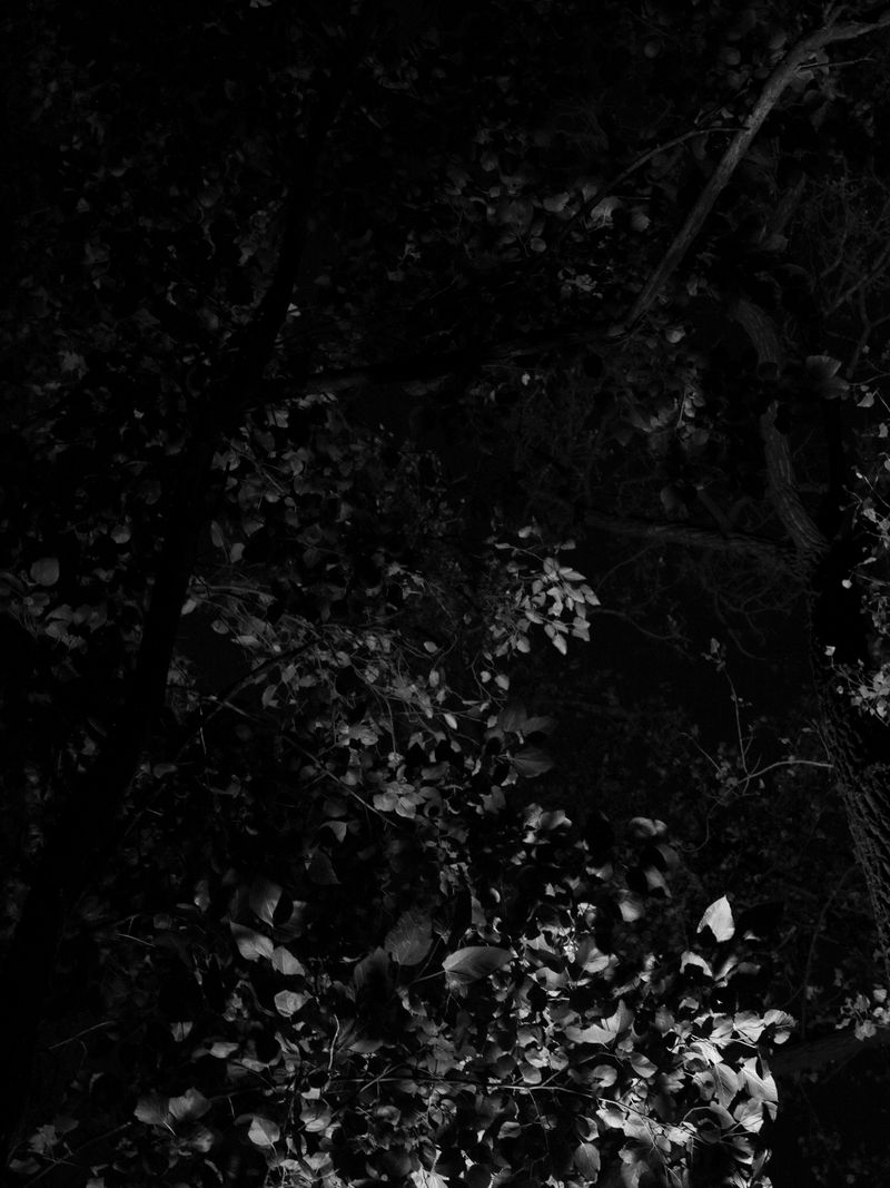 © Tanya Shah - Image from the glimmer photography project