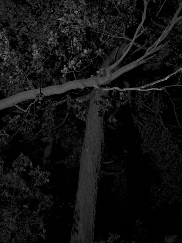 © Tanya Shah - Image from the glimmer photography project