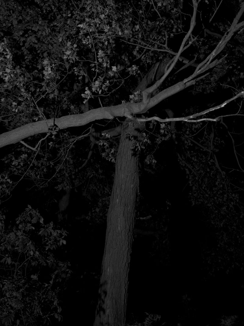 © Tanya Shah - Image from the glimmer photography project