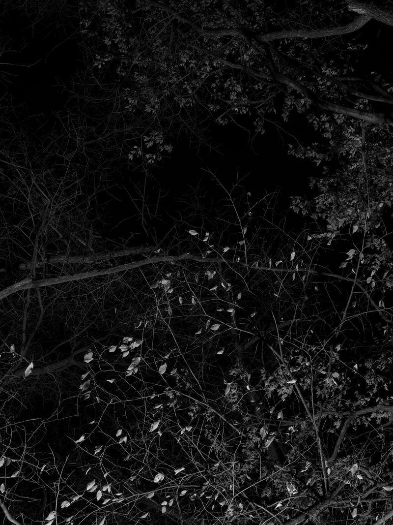 © Tanya Shah - Image from the glimmer photography project