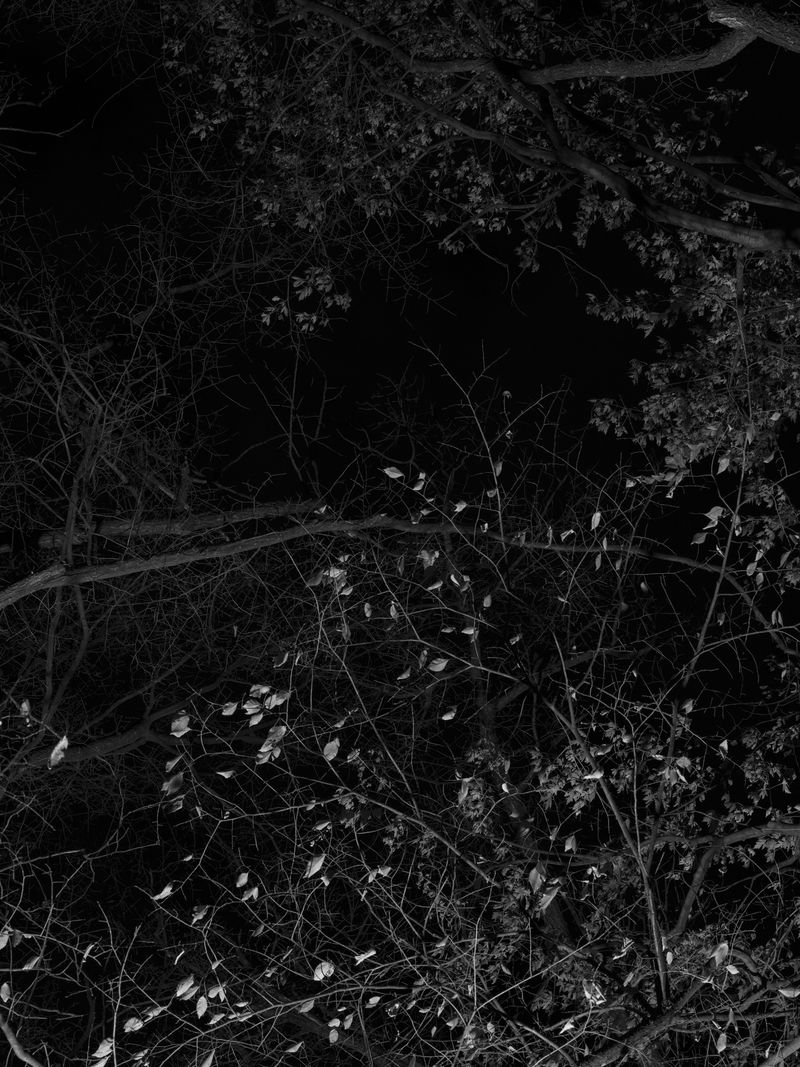 © Tanya Shah - Image from the glimmer photography project