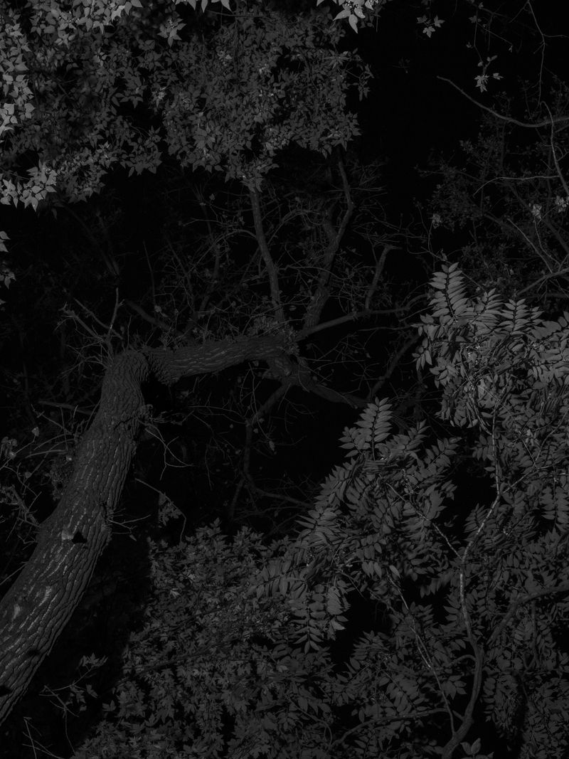 © Tanya Shah - Image from the glimmer photography project