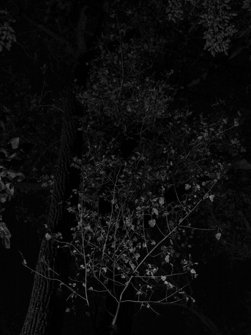 © Tanya Shah - Image from the glimmer photography project