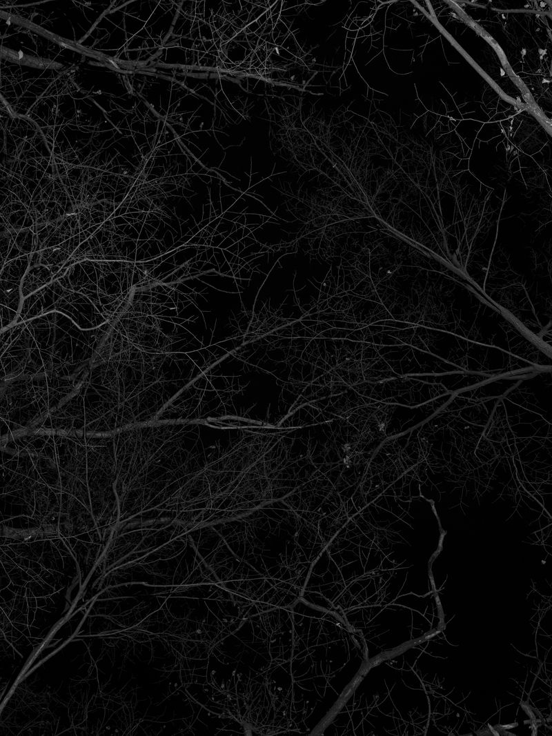 © Tanya Shah - Image from the glimmer photography project