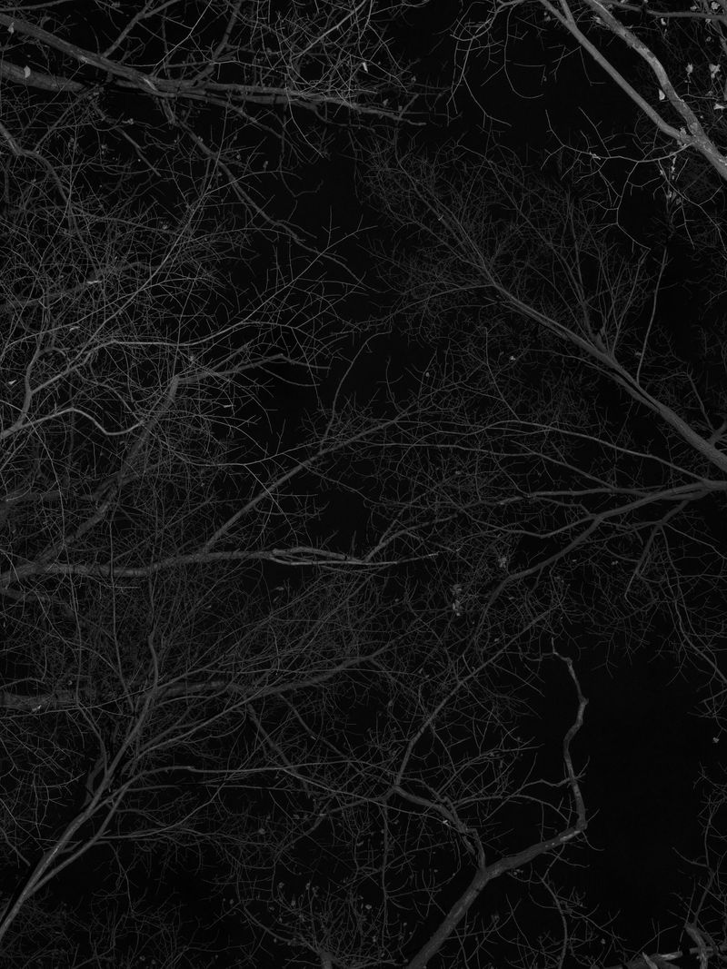 © Tanya Shah - Image from the glimmer photography project