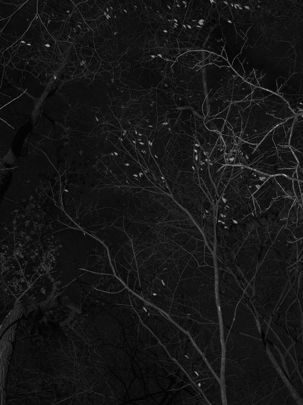 © Tanya Shah - Image from the glimmer photography project