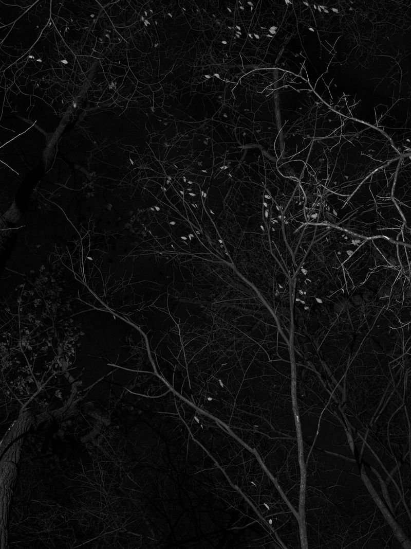 © Tanya Shah - Image from the glimmer photography project