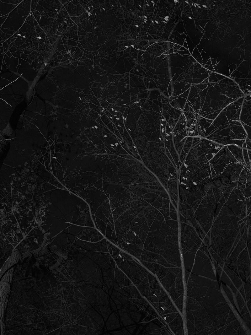 © Tanya Shah - Image from the glimmer photography project